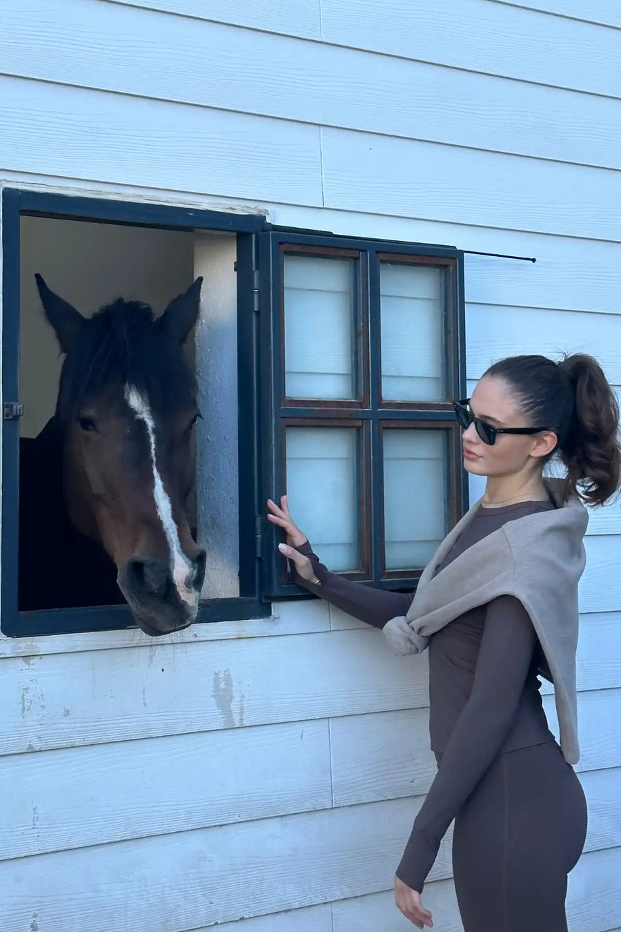 At üzerinde kahverengi kıyafetli kadın ile at.